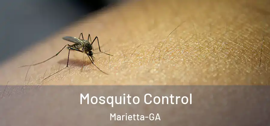 Mosquito Control Marietta-GA