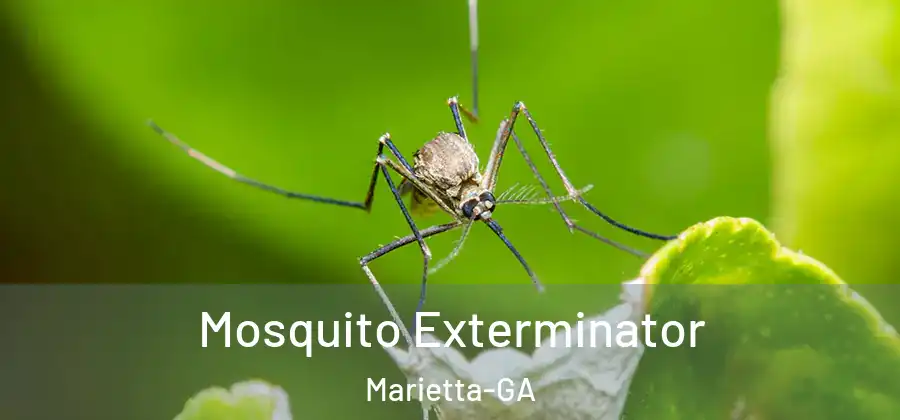  Mosquito Exterminator Marietta-GA