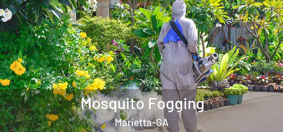  Mosquito Fogging Marietta-GA