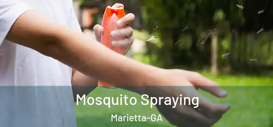  Mosquito Spraying Marietta-GA