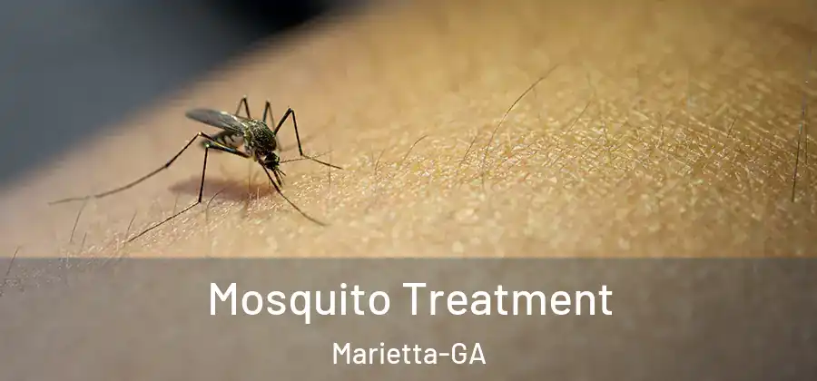  Mosquito Treatment Marietta-GA