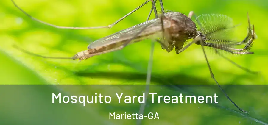 Mosquito Yard Treatment Marietta-GA