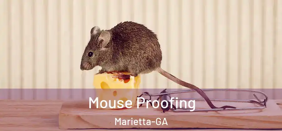  Mouse Proofing Marietta-GA