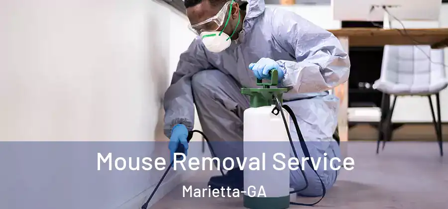  Mouse Removal Service Marietta-GA