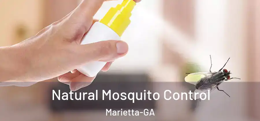  Natural Mosquito Control Marietta-GA