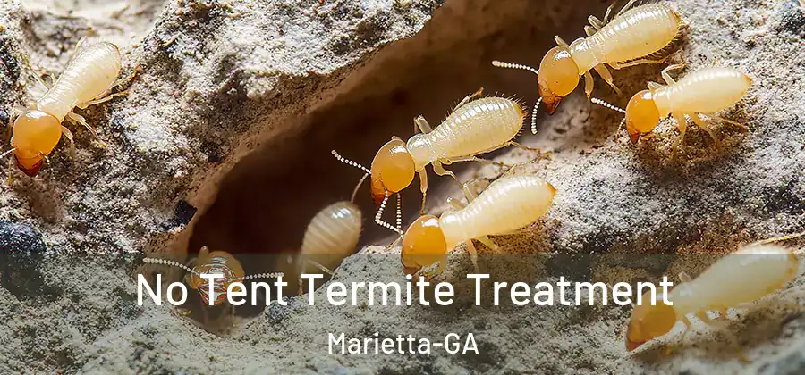  No Tent Termite Treatment Marietta-GA
