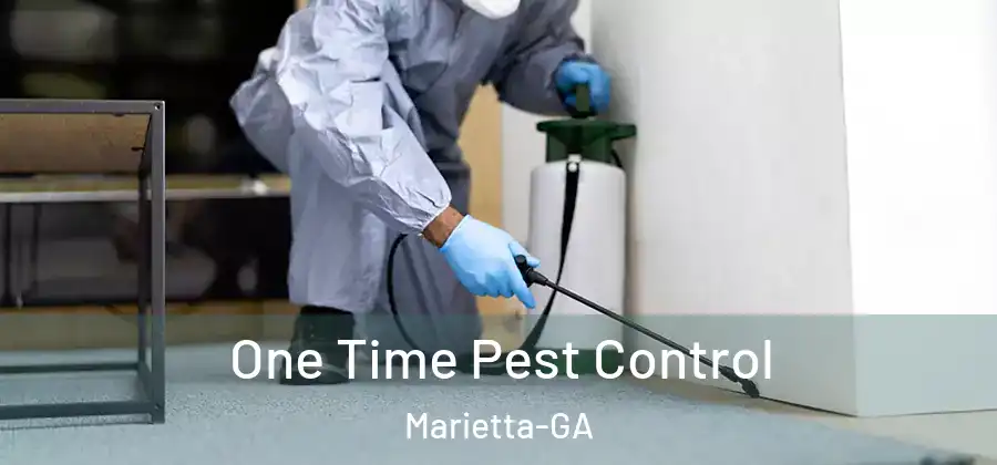  One Time Pest Control Marietta-GA