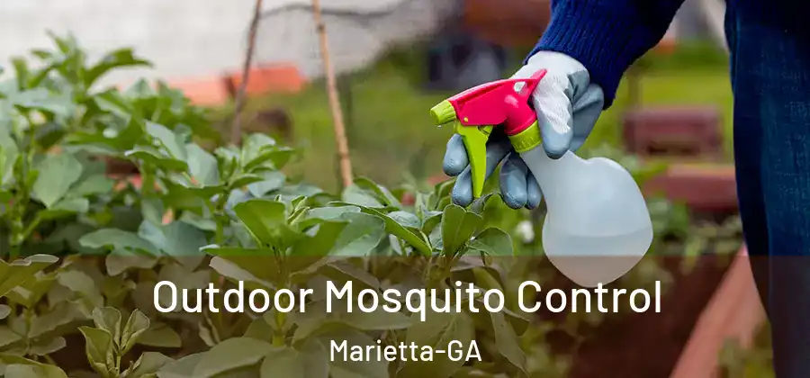 Outdoor Mosquito Control Marietta-GA