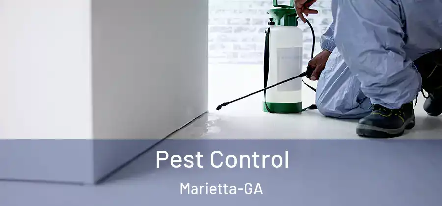 Pest Control Marietta-GA