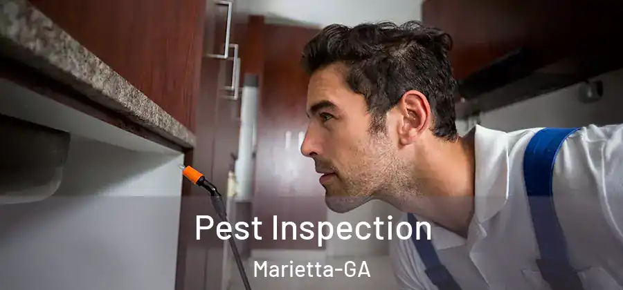  Pest Inspection Marietta-GA