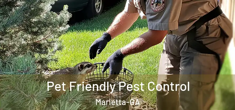  Pet Friendly Pest Control Marietta-GA