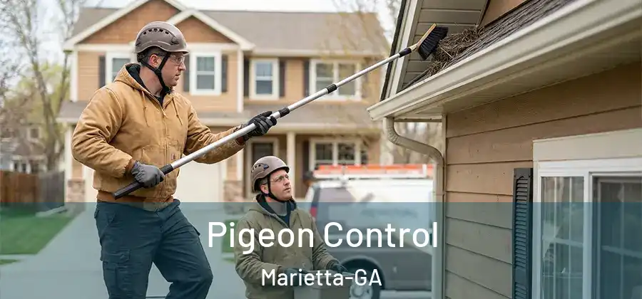 Pigeon Control Marietta-GA