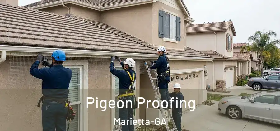  Pigeon Proofing Marietta-GA