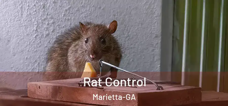  Rat Control Marietta-GA