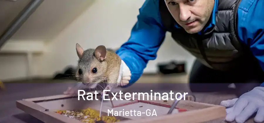 Rat Exterminator Marietta-GA