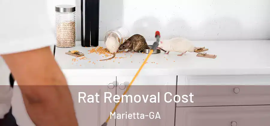  Rat Removal Cost Marietta-GA