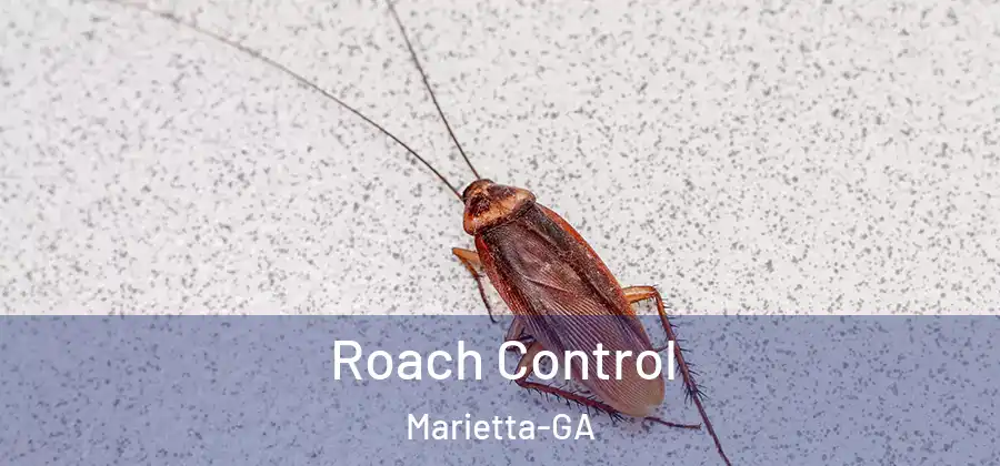 Roach Control Marietta-GA