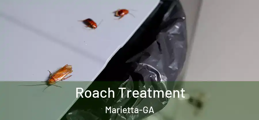  Roach Treatment Marietta-GA