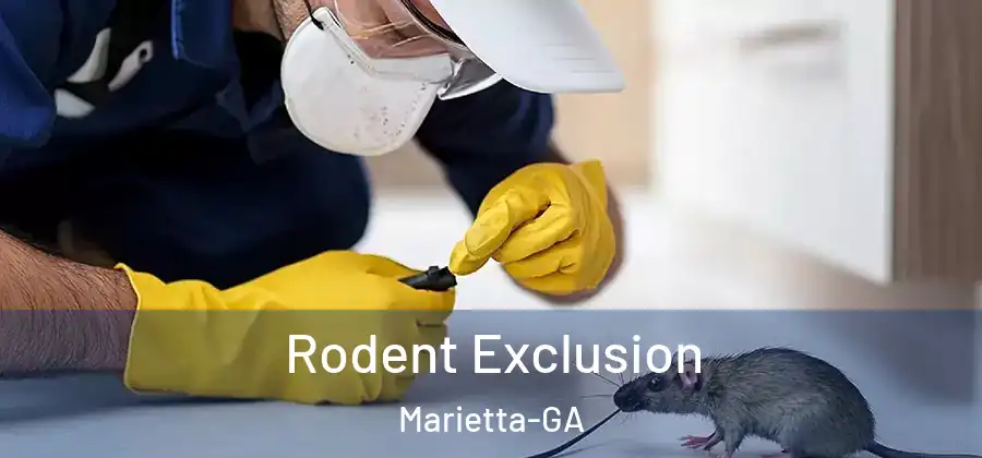  Rodent Exclusion Marietta-GA