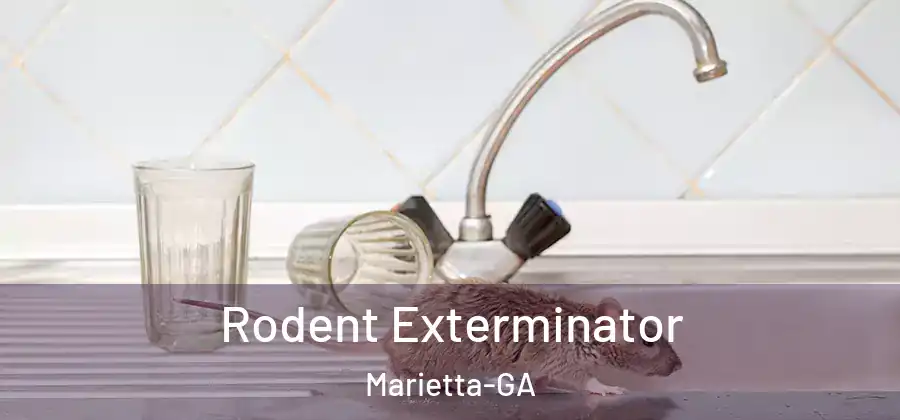 Rodent Exterminator Marietta-GA