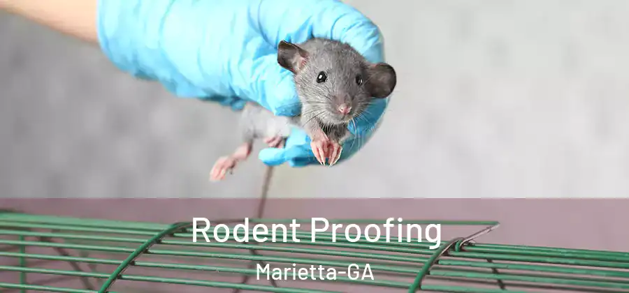  Rodent Proofing Marietta-GA