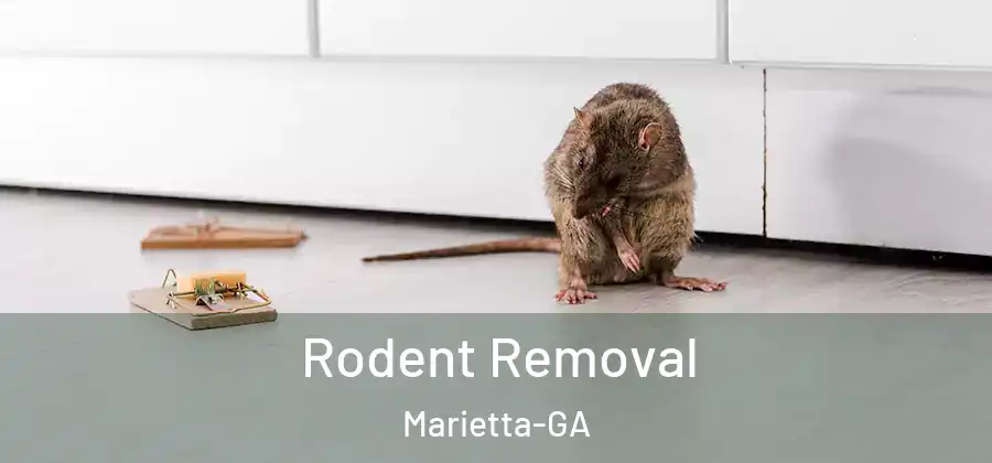  Rodent Removal Marietta-GA