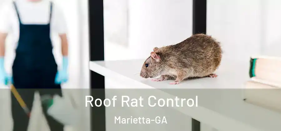  Roof Rat Control Marietta-GA