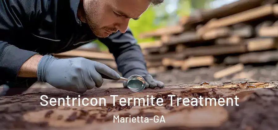  Sentricon Termite Treatment Marietta-GA