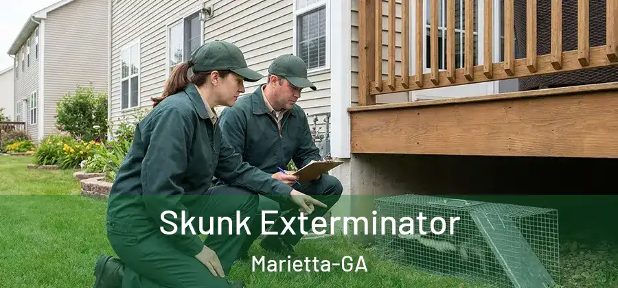  Skunk Exterminator Marietta-GA