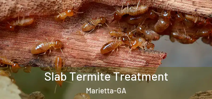  Slab Termite Treatment Marietta-GA