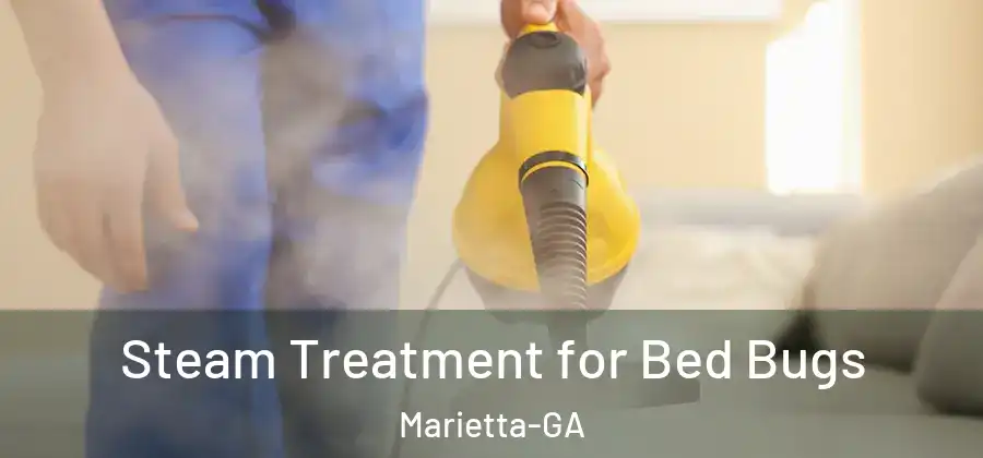 Steam Treatment for Bed Bugs Marietta-GA