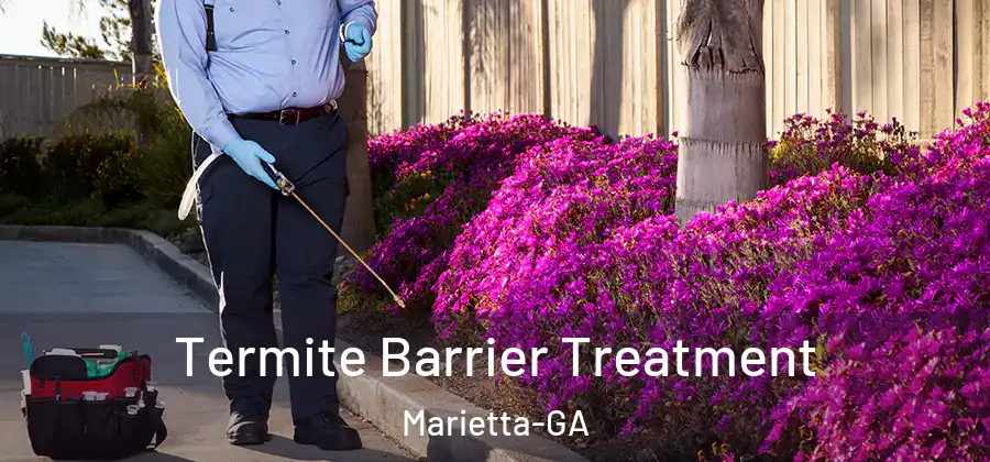  Termite Barrier Treatment Marietta-GA
