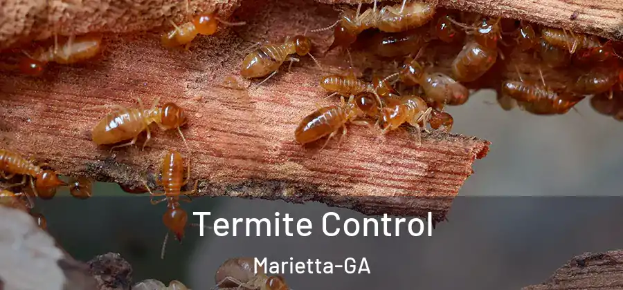  Termite Control Marietta-GA