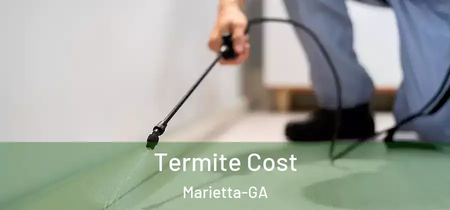  Termite Cost Marietta-GA