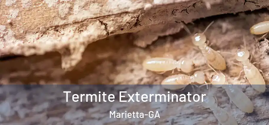  Termite Exterminator Marietta-GA