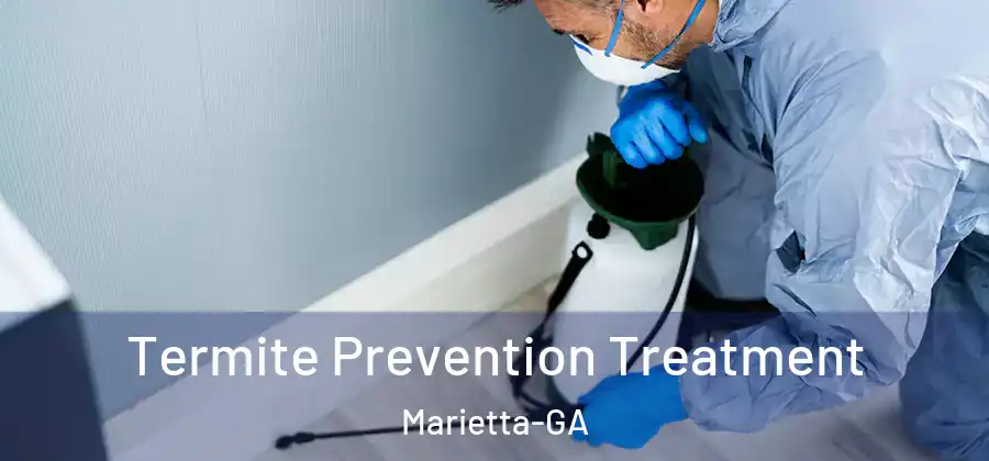  Termite Prevention Treatment Marietta-GA
