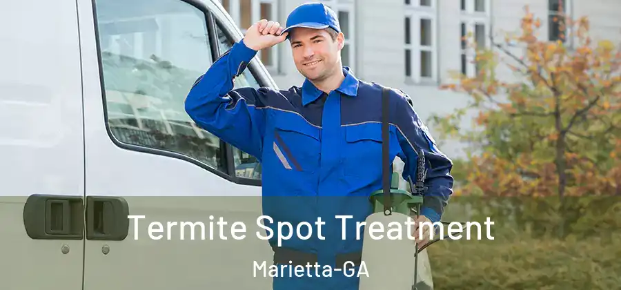  Termite Spot Treatment Marietta-GA