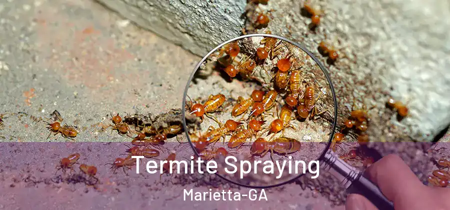 Termite Spraying Marietta-GA