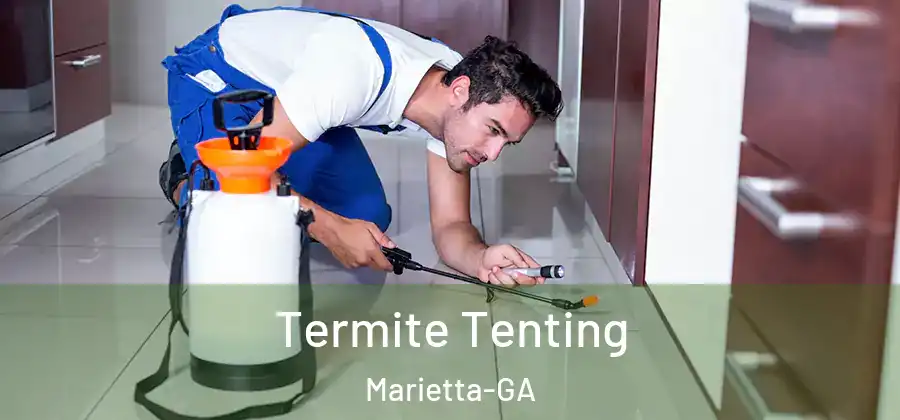  Termite Tenting Marietta-GA