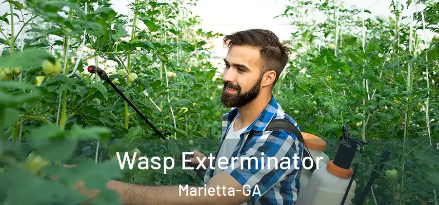  Wasp Exterminator Marietta-GA