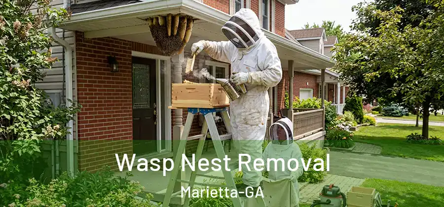  Wasp Nest Removal Marietta-GA