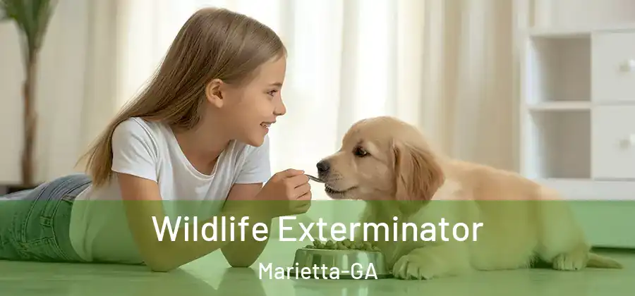  Wildlife Exterminator Marietta-GA