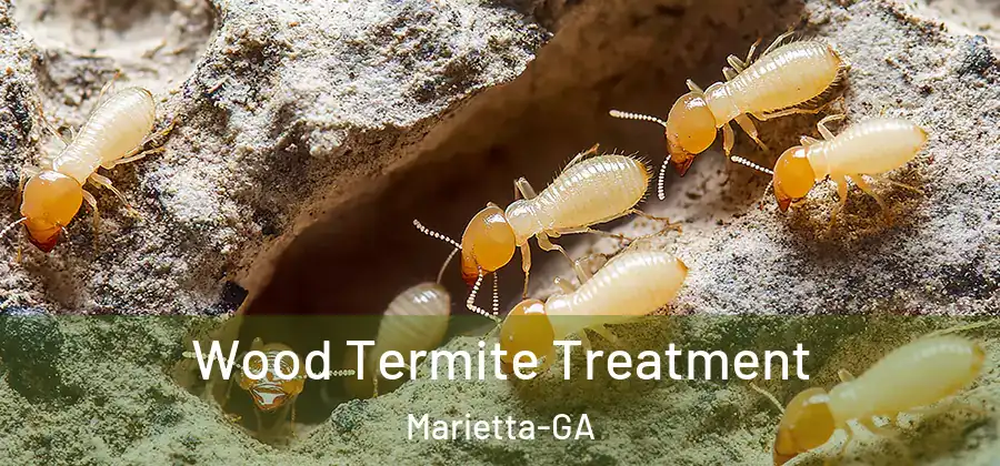  Wood Termite Treatment Marietta-GA