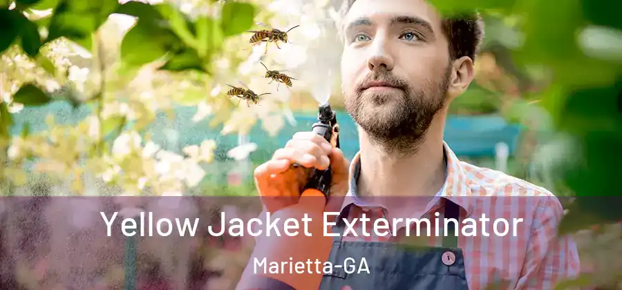 Yellow Jacket Exterminator Marietta-GA